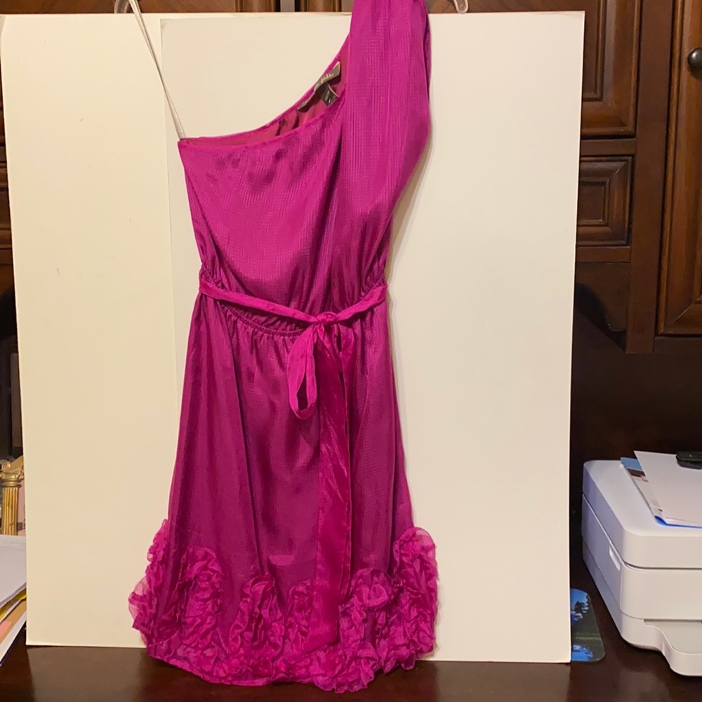 Charlie Jade Fuchsia  100% Silk Dress
